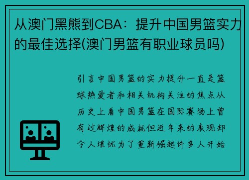 从澳门黑熊到CBA：提升中国男篮实力的最佳选择(澳门男篮有职业球员吗)